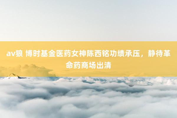 av狼 博时基金医药女神陈西铭功绩承压，静待革命药商场出清