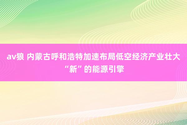 av狼 内蒙古呼和浩特加速布局低空经济产业壮大“新”的能源引擎