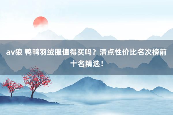 av狼 鸭鸭羽绒服值得买吗？清点性价比名次榜前十名精选！