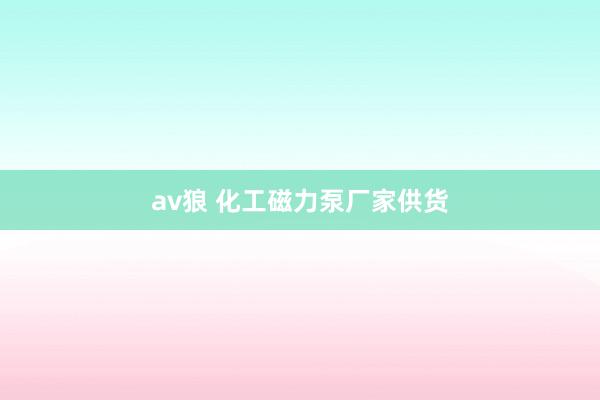 av狼 化工磁力泵厂家供货