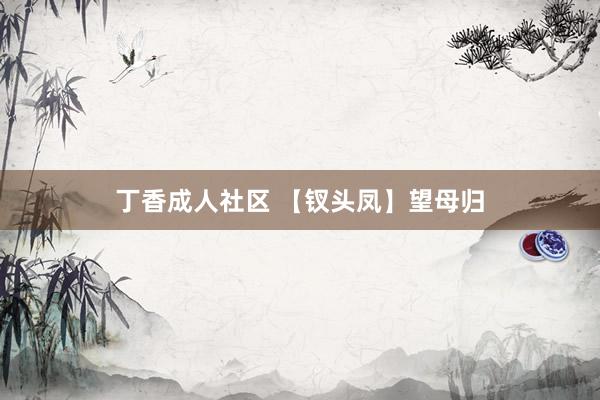 丁香成人社区 【钗头凤】望母归