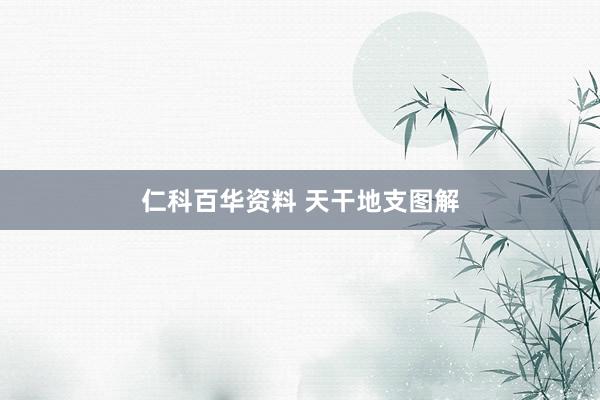 仁科百华资料 天干地支图解